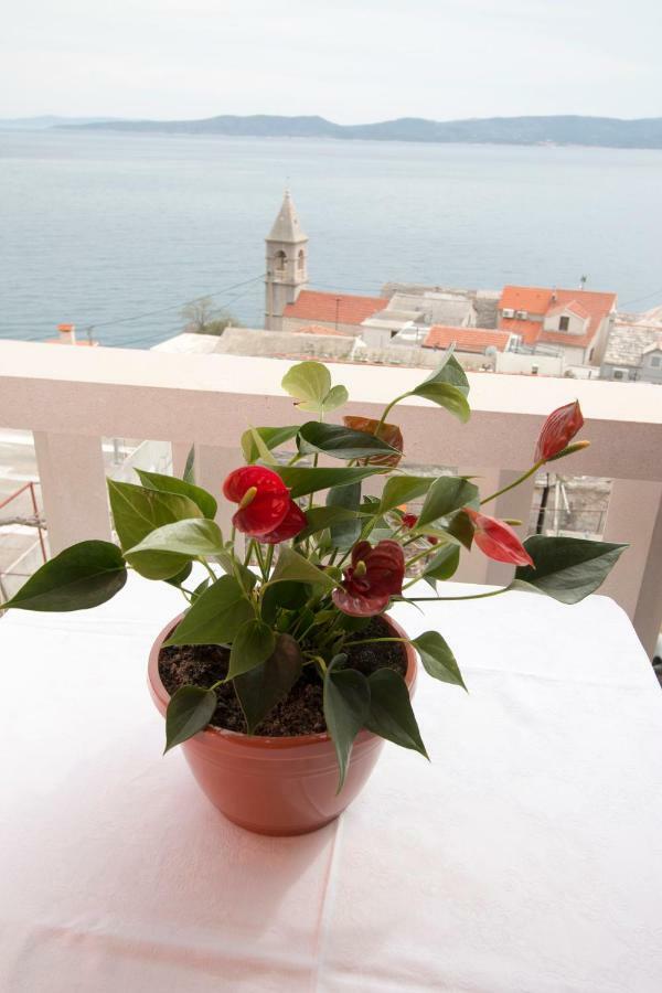 Antonio Apartment *